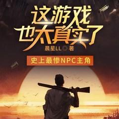 这游戏也太真实了有声小说