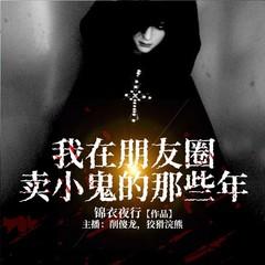 我在朋友圈卖小鬼的那些年有声小说