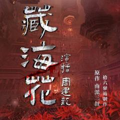 藏海花|周建龙|南派三叔著|完结畅听|盗墓笔记经典延续有声小说