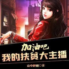 加油吧,我的扶贫大主播有声小说