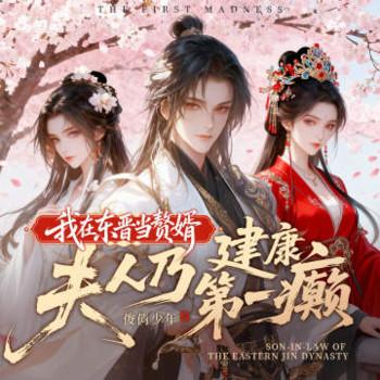 我在东晋当赘婿，夫人乃建康第一癫有声小说