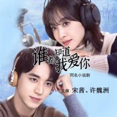 谁都知道我爱你 | 宋茜、许魏洲主演|同名小说 | 多人有声影视剧有声小说