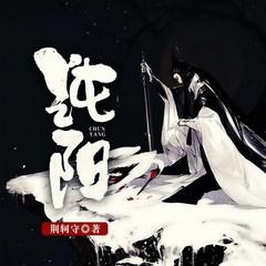 纯阳有声小说