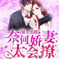 第一名媛，奈何娇妻太会撩有声小说