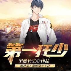 第一狂少（盖世龙少）有声小说