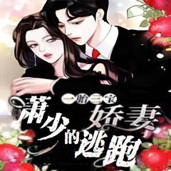 一胎两宝：萧少的逃跑娇妻 | 现代言情 豪门世家有声小说