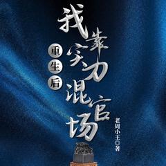 重生后，我靠实力混官场|热血逆袭|权谋权力|多人剧有声小说