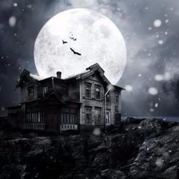 新张盾讲夜故事有声小说