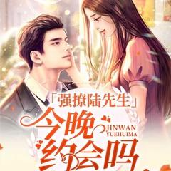 强撩陆先生：今晚约会吗有声小说